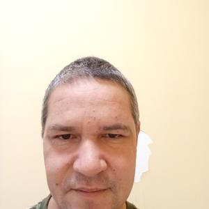 Ренат, 43 года, Волгодонск
