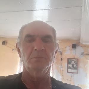 Энвер, 69 лет, Челябинск