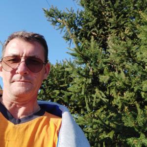 Anatol Saab, 51 год, Новосибирск