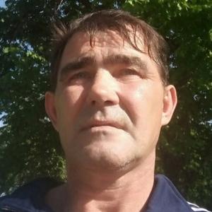 Александр, 52 года, Липецк