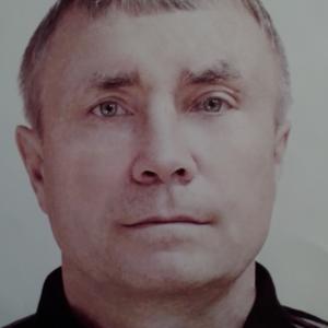 Владимир, 52 года, Шебекино