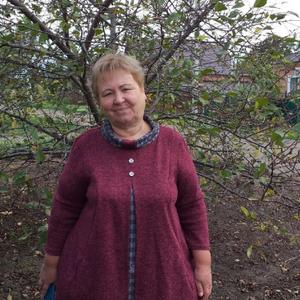 Елена, 64 года, Краснодар