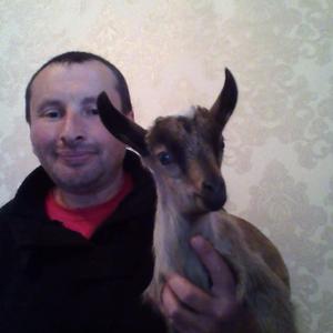 Эльбрус, 48 лет, Карачаевск