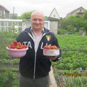 Андрей, 52 года, Ясногорск