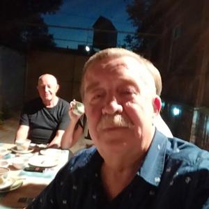 Михаил, 74 года, Бобров