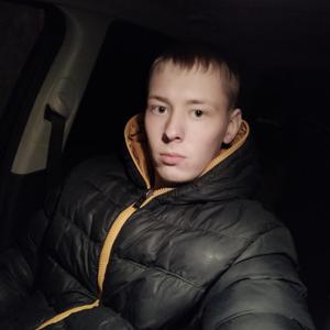 Никита, 28 лет, Вологда