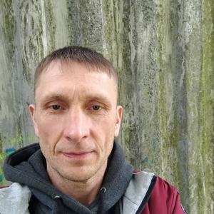 Андрей, 46 лет, Черняховск