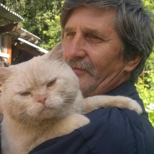 Сергей Васильевич, 62 года, Майкоп