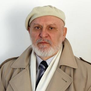 Derevyanko Alexander, 73 года, Магнитогорск