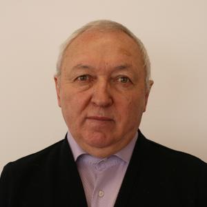 Николай, 75 лет, Санкт-Петербург