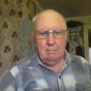 Алексей, 77 лет, Волгоград