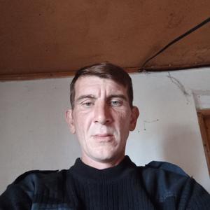 Дима Из Кашара, 37 лет, Москва