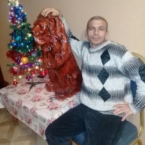Davit Gasparyan, 47 лет, Геленджик
