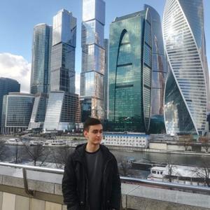 Радомир, 23 года, Омск