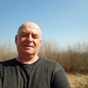 Евгений, 66 лет, Димитровград