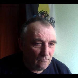 Сергей, 72 года, Елизово
