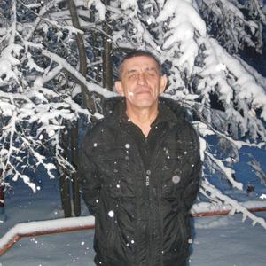 Андрей Антипов, 62 года, Курган