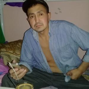 Умар, 39 лет, Ярославль