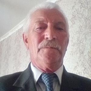 Николай, 66 лет, Пенза