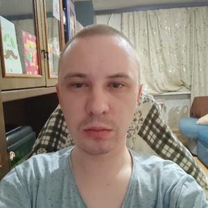 Александр, 31 год, Лесной