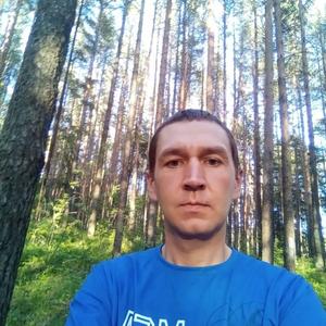 Александр Шильников, 38 лет, Дегтярск