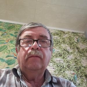 Евгений, 68 лет, Нижний Новгород