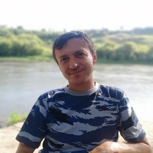 Владимир, 44 года, Старый Оскол