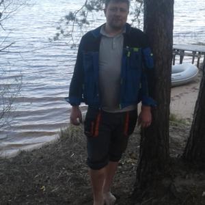 Сергей, 38 лет, Дмитров