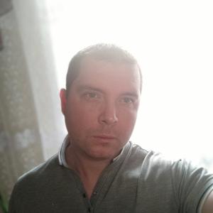 Sergej, 38 лет, Ярославль