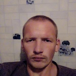 Андрей, 29 лет, Калининград