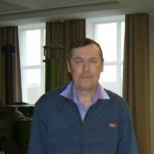 Александр, 68 лет, Шадринск