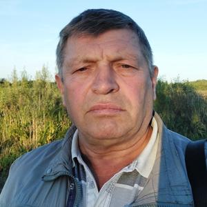 Александр, 66 лет, Черняховск