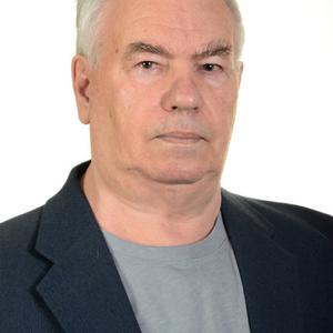 Антонид Чистяков, 69 лет, Димитровград