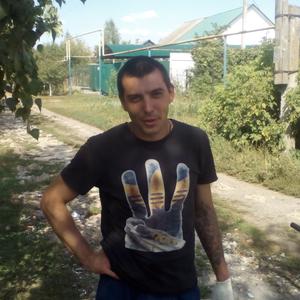 Михаил, 38 лет, Курск