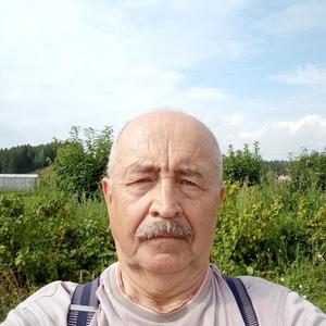 Парни в Перми: Виктор, 72 - ищет девушку из Перми