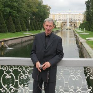 Геннадий Постников, 69 лет, Бийск