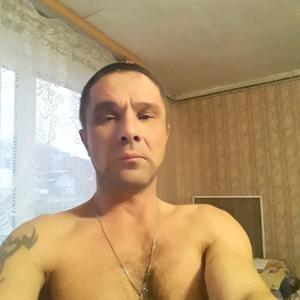 Максим, 42 года, Вологда