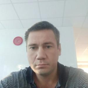 Алексей Мешулин, 41 год, Владимир