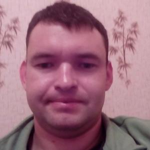 Дмитрий, 41 год, Сестрорецк