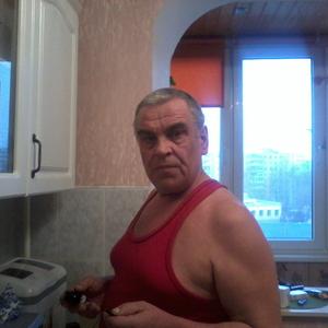 Владимир, 68 лет, Щелково