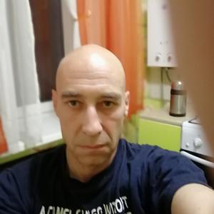 Дмитрий, 55 лет, Брянск