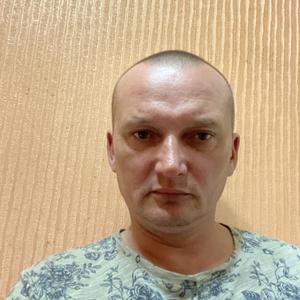 Сергей, 44 года, Краснодарский