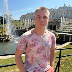 Андрей, 19 лет, Курск