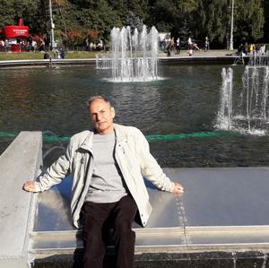 Владимир, 72 года, Щелково