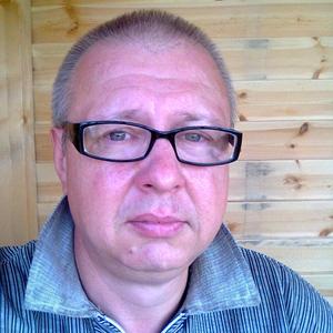 Дмитрий Кожевников, 54 года, Ревда