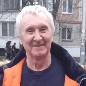 Владимир, 71 год, Москва