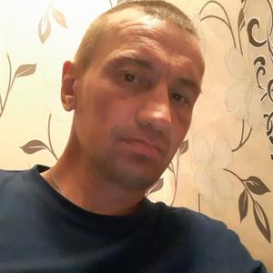 Иван Ананьин, 47 лет, Карпогоры