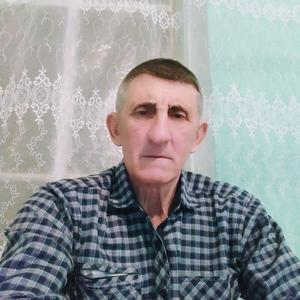 Александр, 65 лет, Лиман