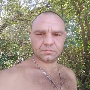 Максим, 39 лет, Ростов-на-Дону