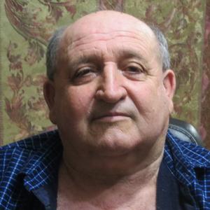Владимир, 64 года, Ставрополь